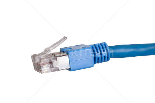 Blau Netzwerk Kabel isoliert weiß Büro Stock foto © AndreyPopov