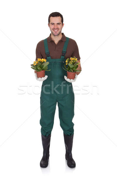 Happy young gardener holding flowers Stock photo © AndreyPopov