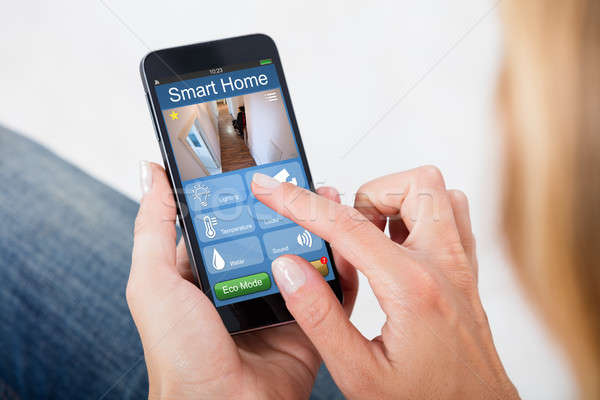 Person Holding Mobile Phone With Home Security System Stock photo © AndreyPopov