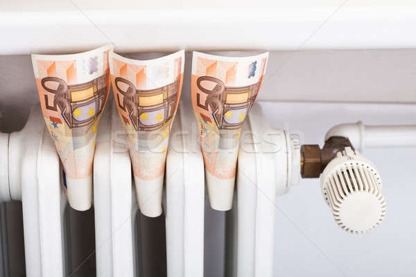 Man Adjusting Thermostat By Euro Notes Stock photo © AndreyPopov