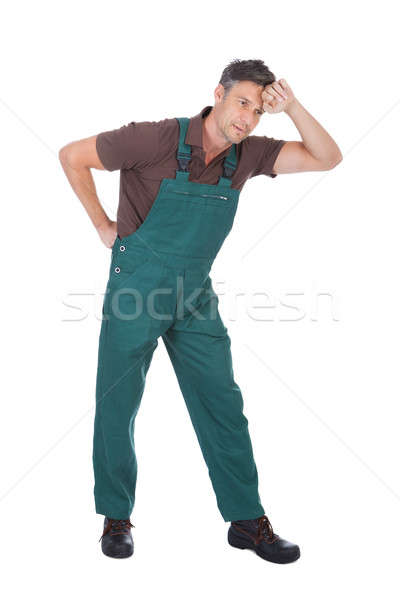 Male Gardener Suffering From Back Pain Stock photo © AndreyPopov