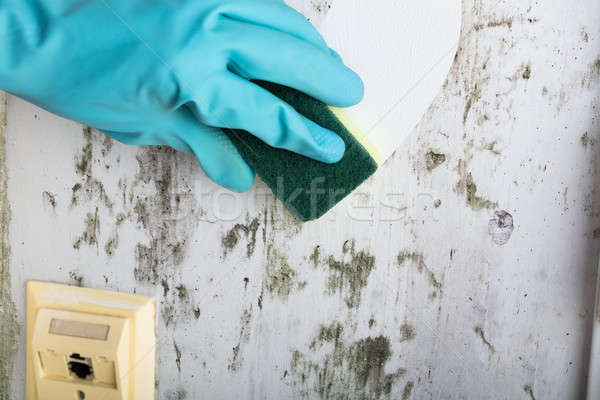 Stockfoto: Huishoudster · schoonmaken · muur · hand · handschoen