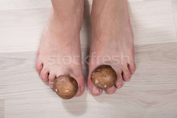 Gombák lábujjak közelkép láb ehető orvosi Stock fotó © AndreyPopov