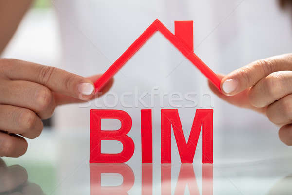 Businesswoman Holding Roof Over BIM Stock photo © AndreyPopov