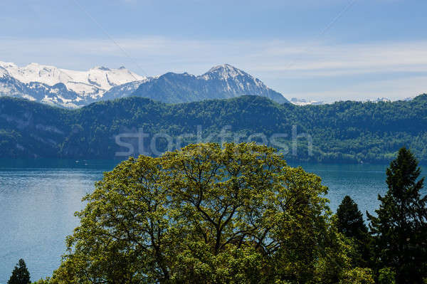 lake of four cantons Stock photo © Andriy-Solovyov