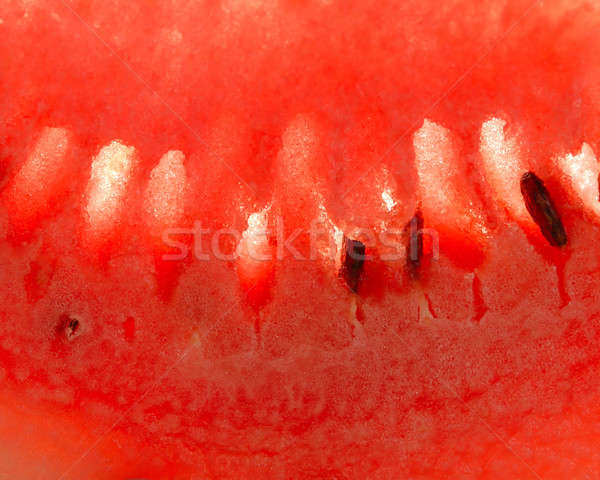 water-melon Stock photo © Andriy-Solovyov