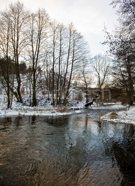 冬 風景 森林 カバー 雪 川 ストックフォト © Andriy-Solovyov