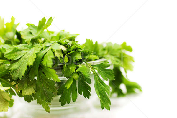 Stock photo: Parsley in bowl over white