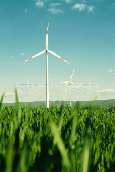 Vento energia campo imagem paisagem verde Foto stock © Anettphoto