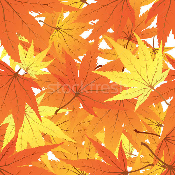 twisted leaves Stock photo © angelp