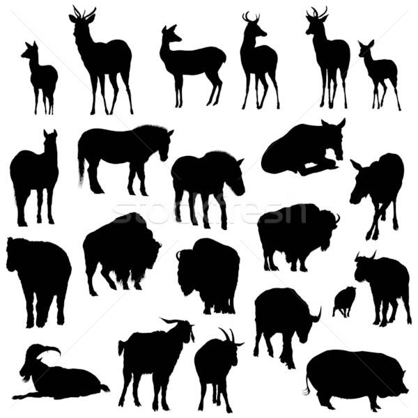 Set of deer, horses, goats, yaks, buffalos and pig   silhouettes Stock photo © angelp
