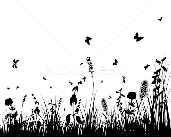meadow silhouettes Stock photo © angelp
