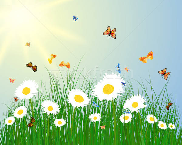 цвета луговой бабочка солнце объекты Сток-фото © angelp