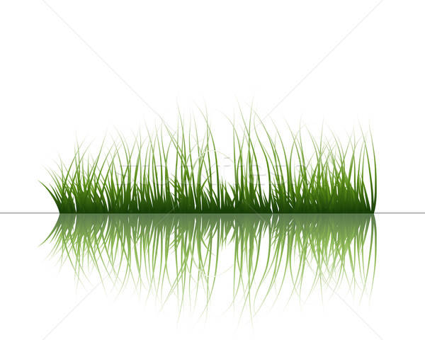 grass on water Stock photo © angelp