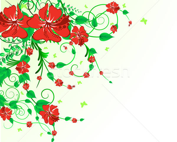 Floral design fleurs printemps résumé peinture [[stock_photo]] © angelp