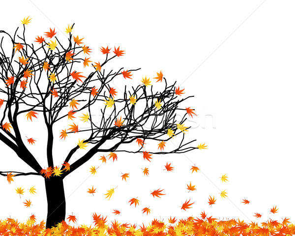twisted leaves Stock photo © angelp