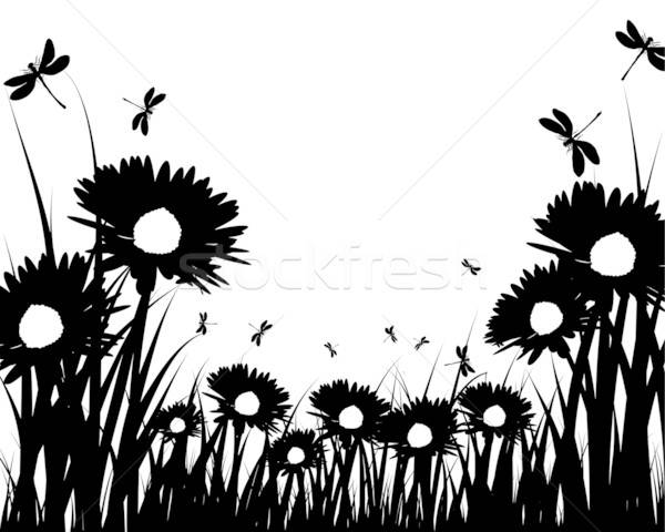 meadow silhouettes Stock photo © angelp