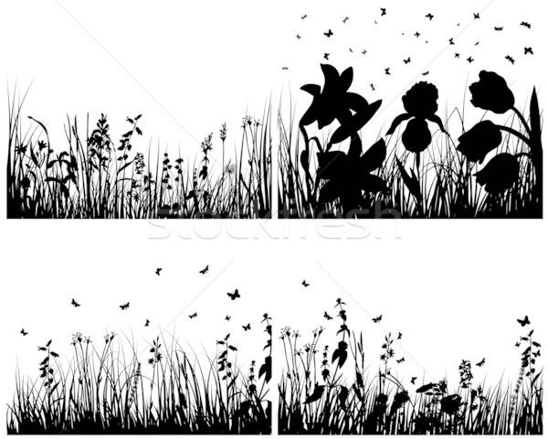 set of grass silhouettes Stock photo © angelp