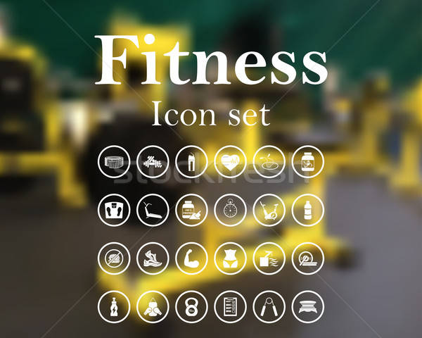 Fitness icon set Stock photo © angelp