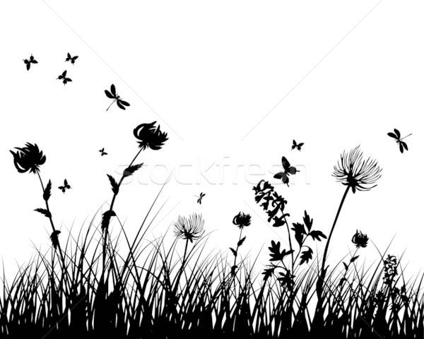 meadow silhouettes Stock photo © angelp