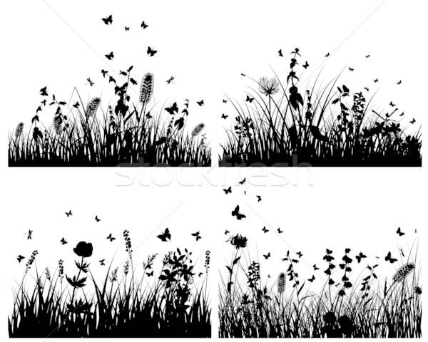 meadow silhouettes Stock photo © angelp