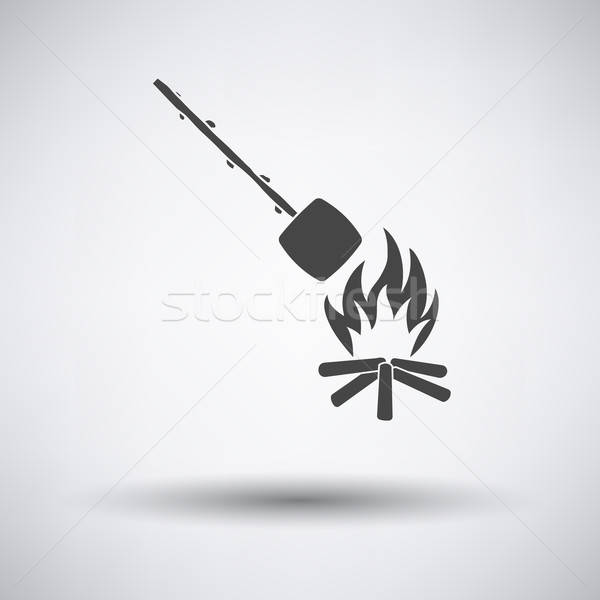 Camping fire with roasting marshmallo  icon Stock photo © angelp