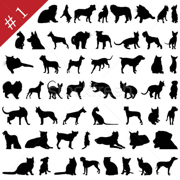 pets silhouettes # 1 Stock photo © angelp