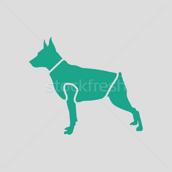 Dog cloth icon Stock photo © angelp