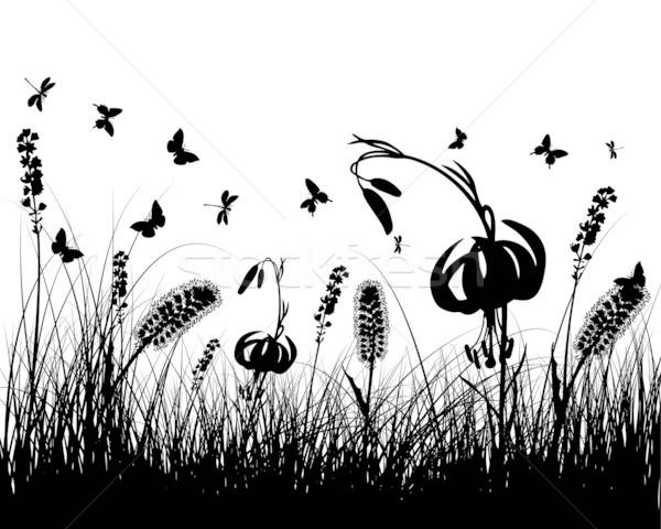 meadow silhouettes Stock photo © angelp