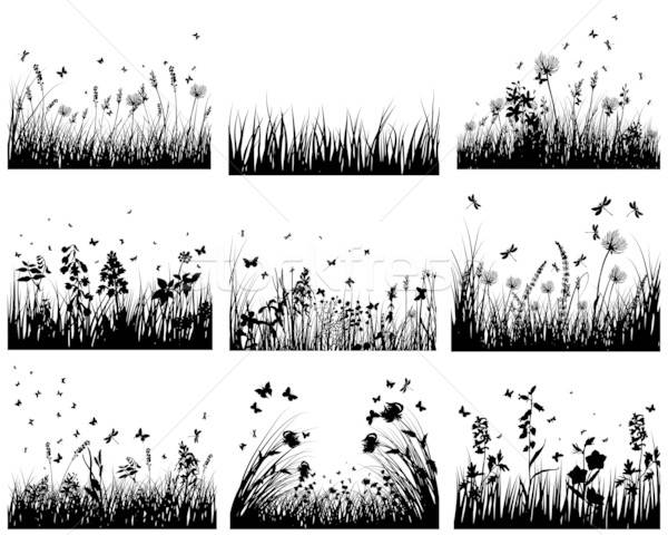 meadow silhouettes Stock photo © angelp