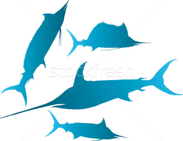 marlin,  sailfish vector Stock photo © angelp