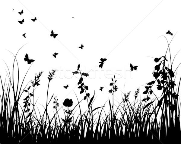 meadow silhouettes Stock photo © angelp