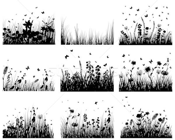 meadow silhouettes Stock photo © angelp