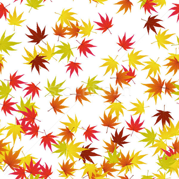 autumn leaves Stock photo © angelp