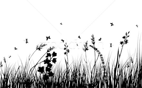 meadow silhouettes Stock photo © angelp