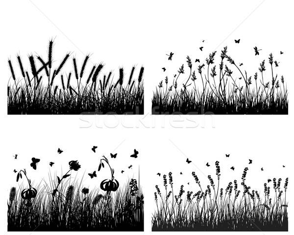 meadow silhouettes Stock photo © angelp