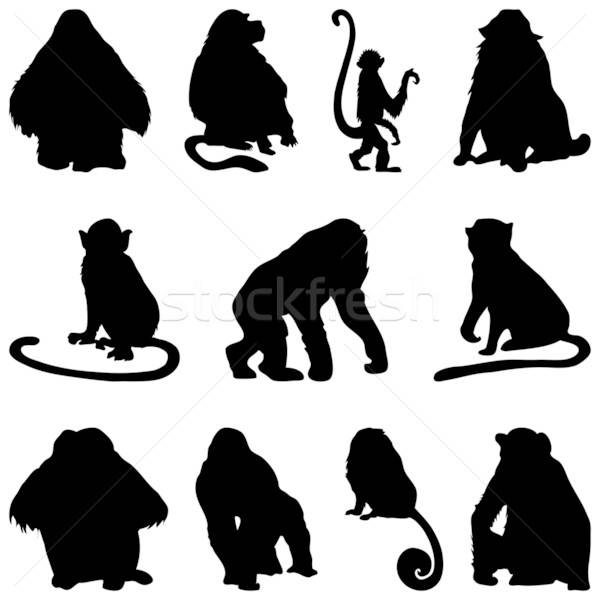 apes silhouettes set Stock photo © angelp