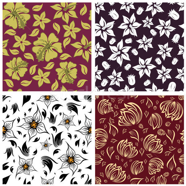 seamless floral backgrounds set Stock photo © angelp