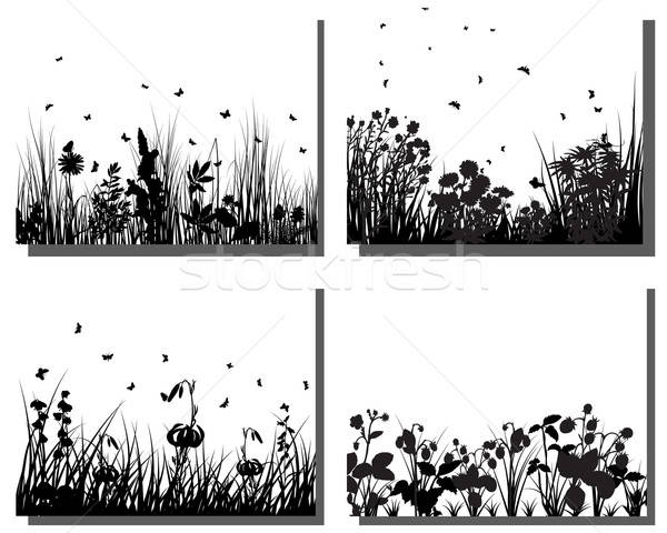çim siluetleri ayarlamak dört vektör arka Stok fotoğraf © angelp