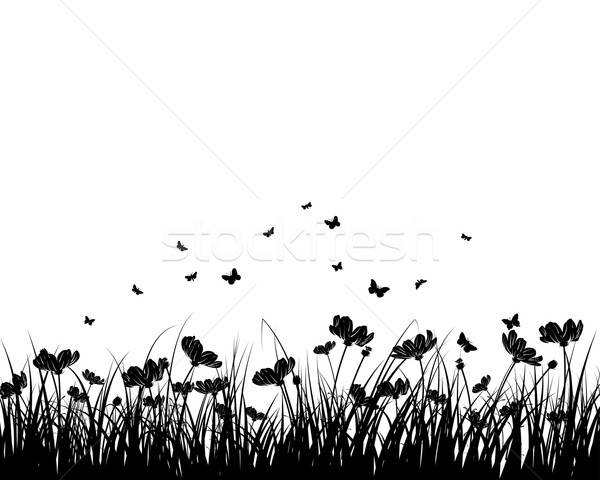 Summer meadow Stock photo © angelp