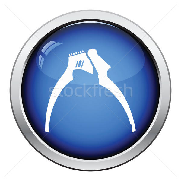 чеснока прессы икона кнопки дизайна Сток-фото © angelp