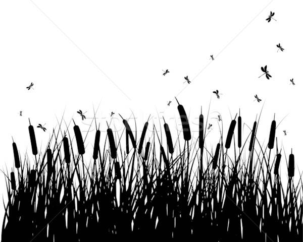 çayır siluetleri vektör çim tüm nesneler Stok fotoğraf © angelp