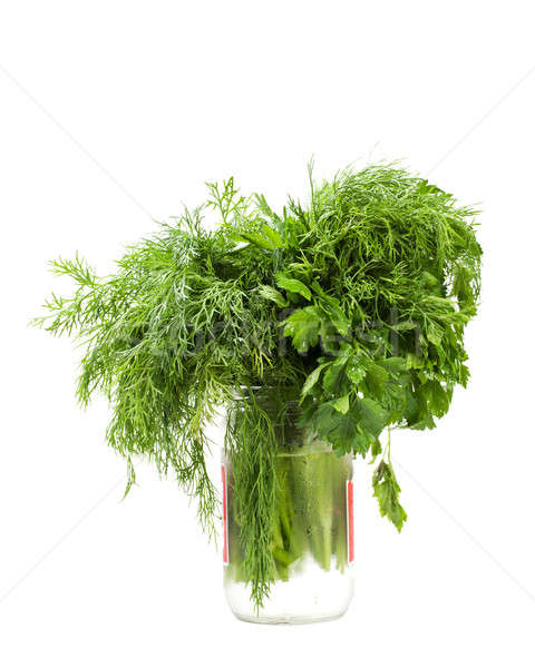parsley and dil Stock photo © angelp