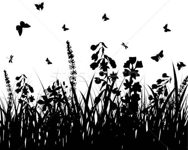 meadow silhouettes Stock photo © angelp