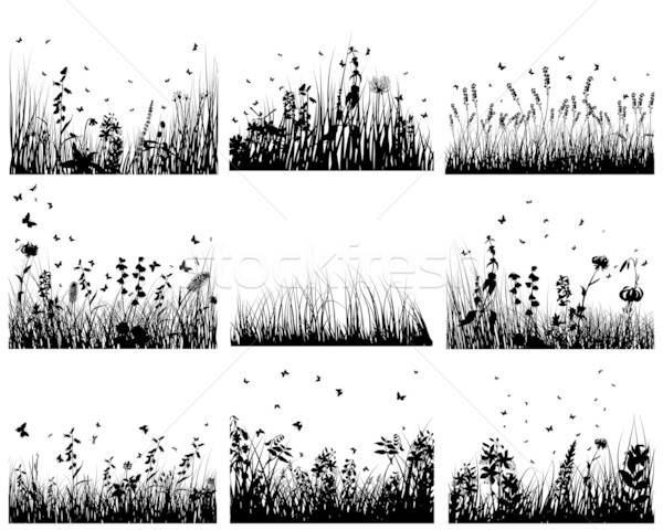 meadow silhouettes Stock photo © angelp