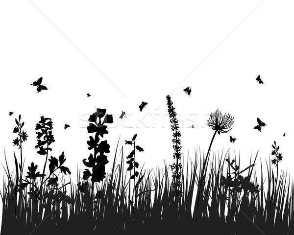 meadow silhouettes Stock photo © angelp