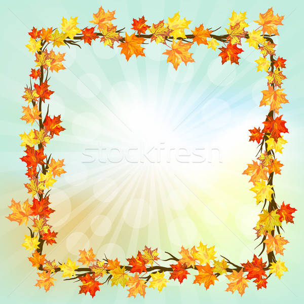 Сток-фото: осень · дизайна · кадр · клен · листьев