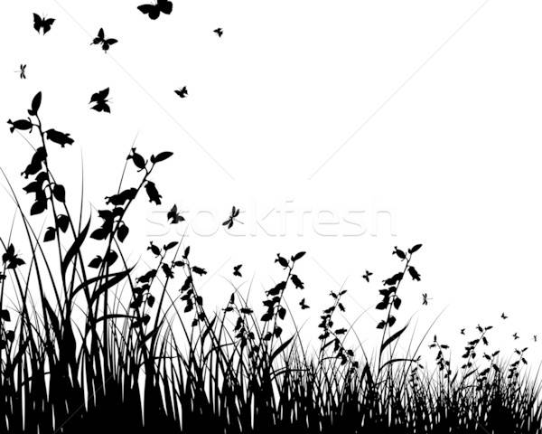 meadow silhouettes Stock photo © angelp