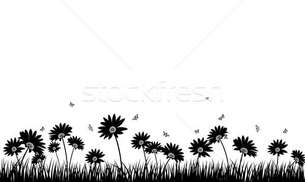 Meadow background Stock photo © angelp