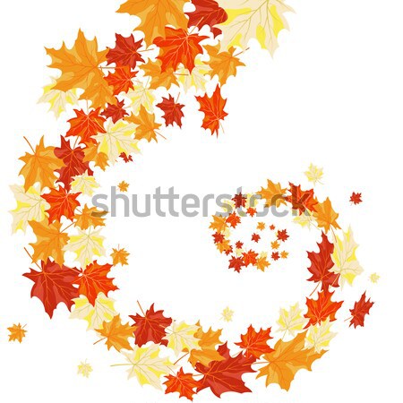 Autumn maples leaves letter Stock photo © angelp
